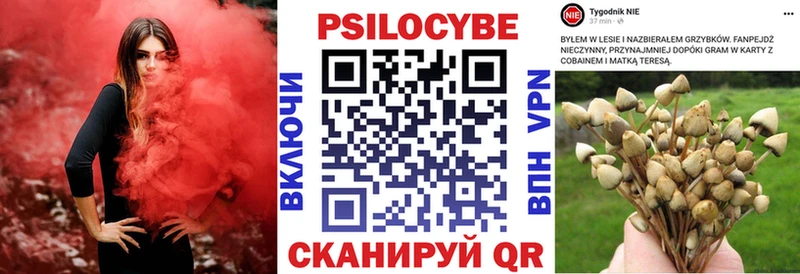купить наркотик Ейск Псилоцибиновые грибы Magic Shrooms